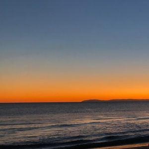 Meet your Posher, Paige